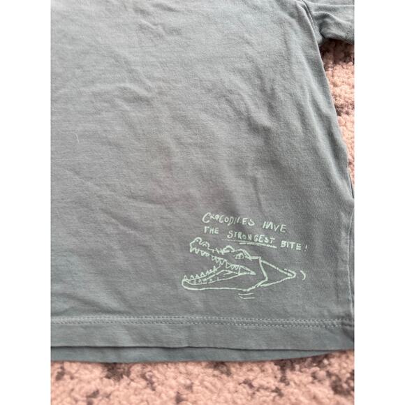 Toddler Boy Shirt Bundle 2T - Picture 6 of 13